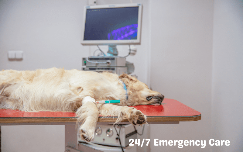 24-7 Emergency Care in hyderabad