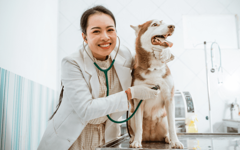 Best Veterinary pet hospitals in Hyderabad