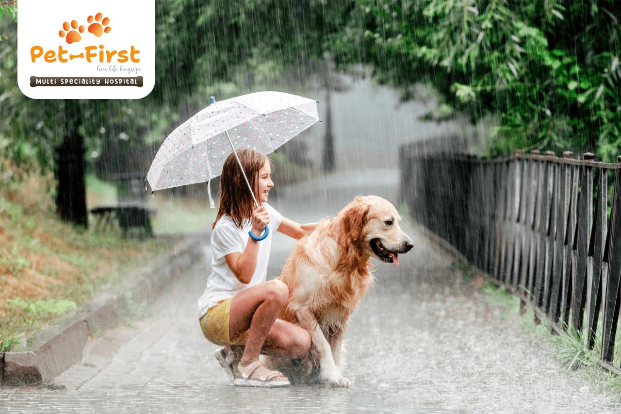 Monsoon pet care tips by Pet First Hospital