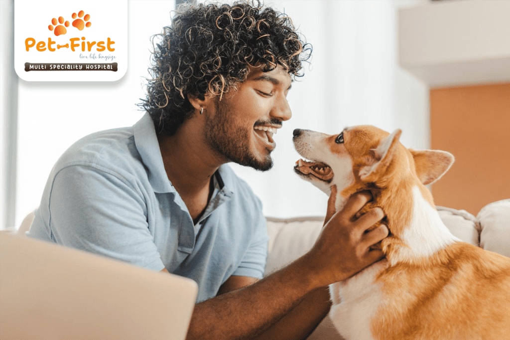 5 Wonderful Benefits of Owning a Pet