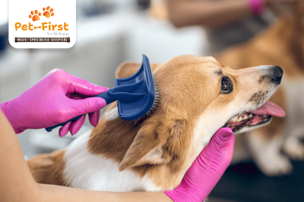 Pet Grooming shop near me in Hyderabad, Kokapet and Jubilee Hills