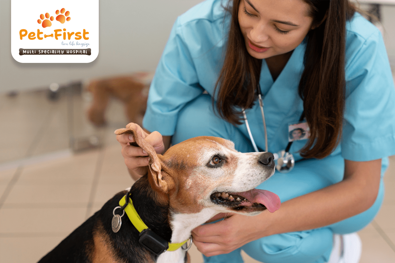 Pet’s Care Super Specialty Hospital Jubilee Hills