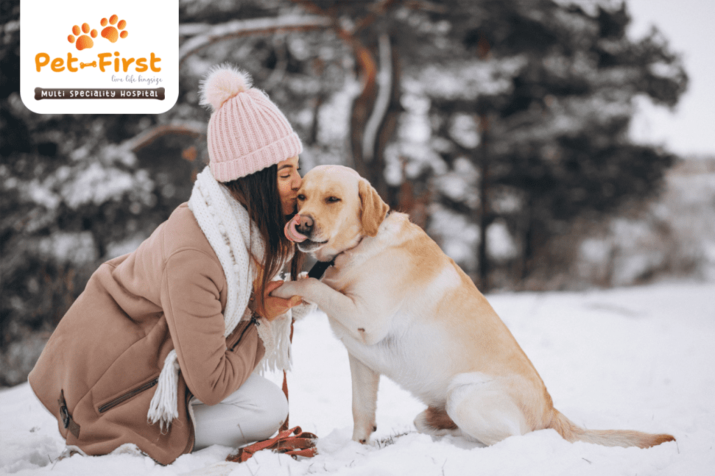 Winter care tips for pets - By Pet First pets clinic in Hyderabad