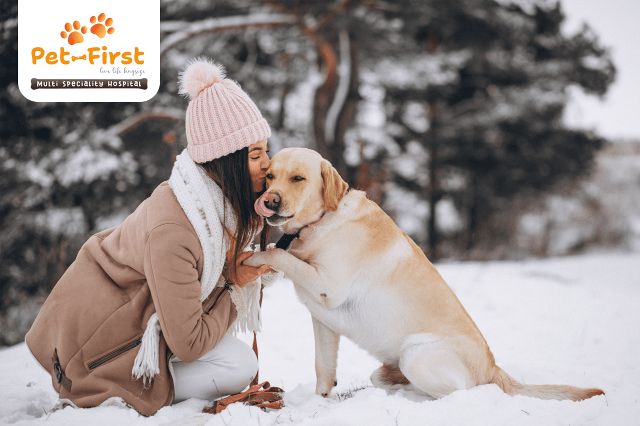 Winter care tips for pets - By Pet First pets clinic in Hyderabad