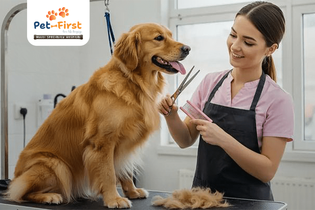 Pet Grooming in Hyderabad