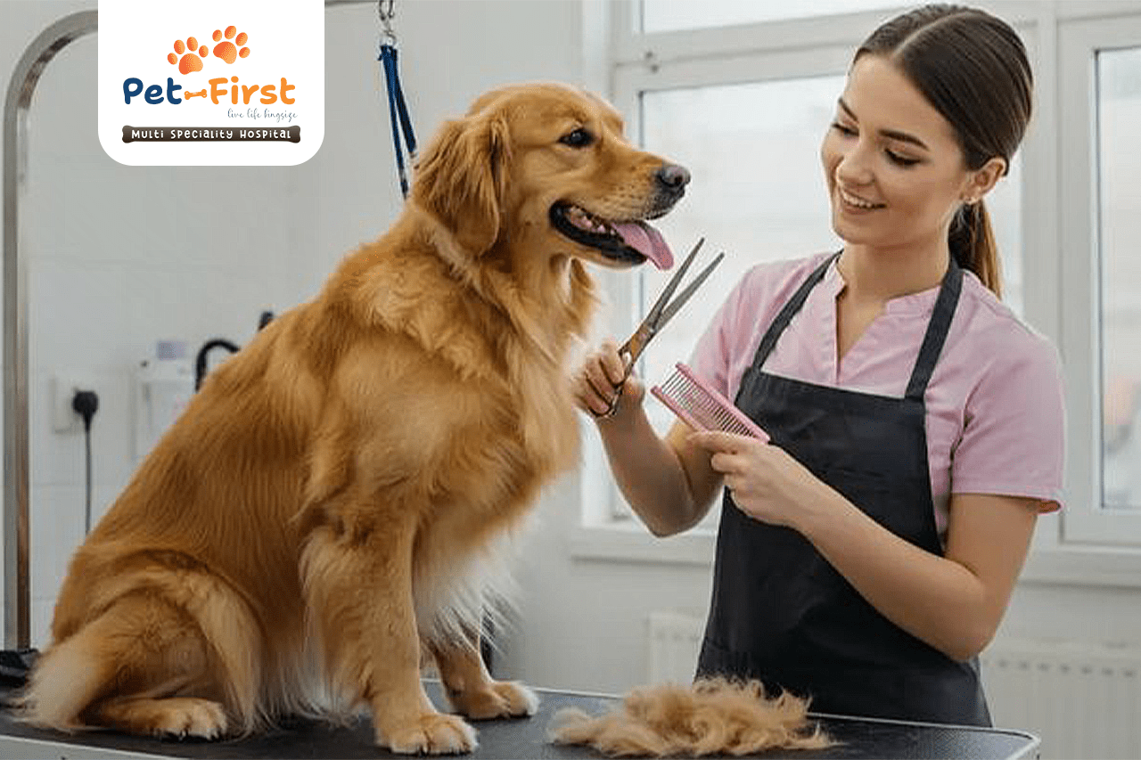Pet Grooming in Hyderabad
