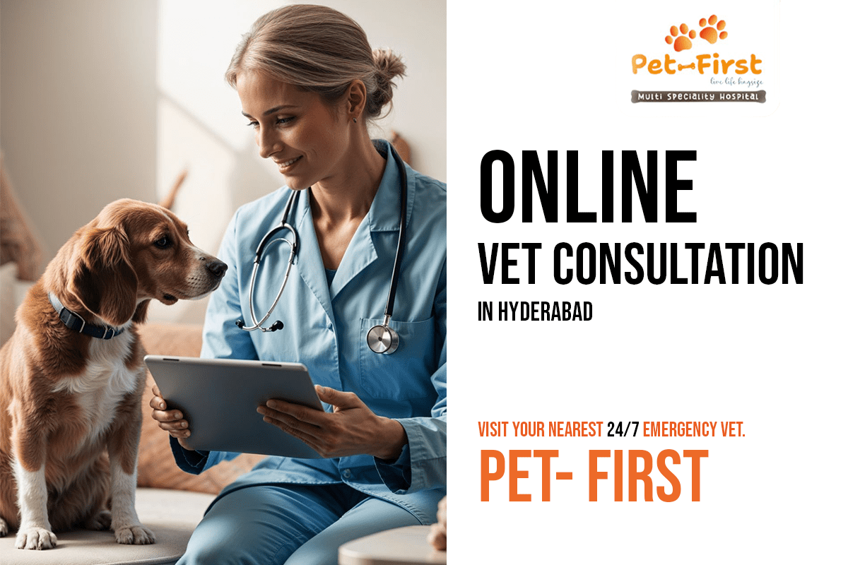 Online Vet Consultation in Hyderabad