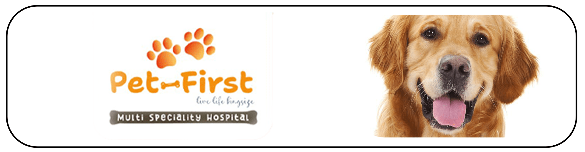 Pet Boarding Hyderabad