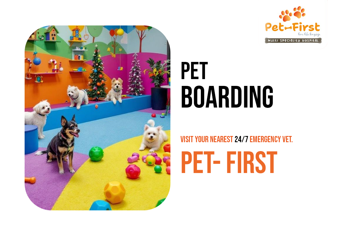 Pet Boarding Hyderabad