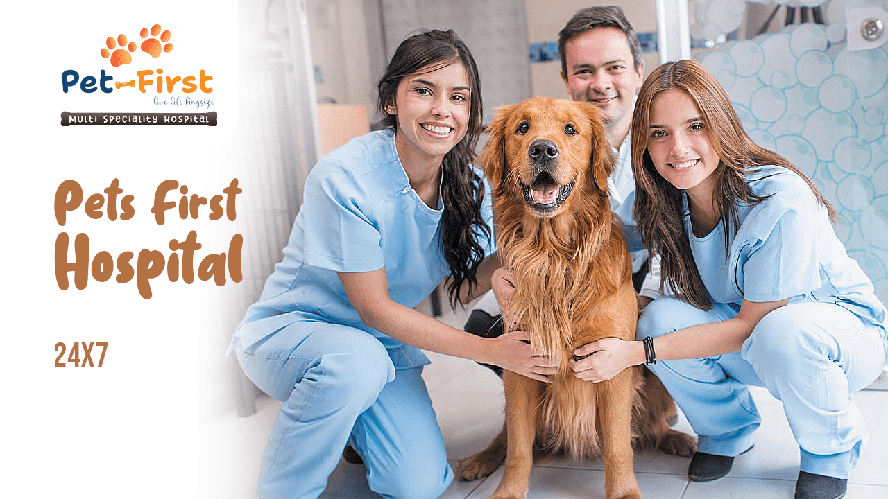 Pets First Hospital 24/7